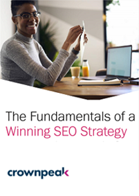 The Fundamentals of a Winning SEO Strategy