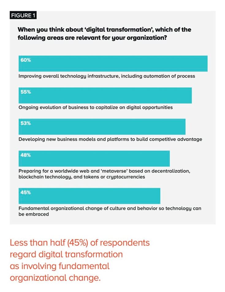 Netcel-report-chart-image.jpg Netcel-report-chart-image.jpg